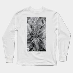 From Above Cont'd Long Sleeve T-Shirt